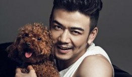 杨烁主演的电视剧,激情燃烧的岁月，演绎传奇人生